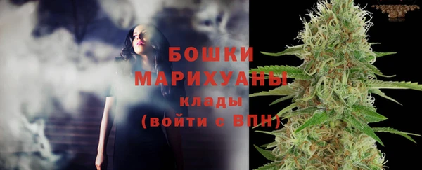 mdpv Вяземский
