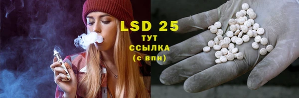 mdpv Вяземский