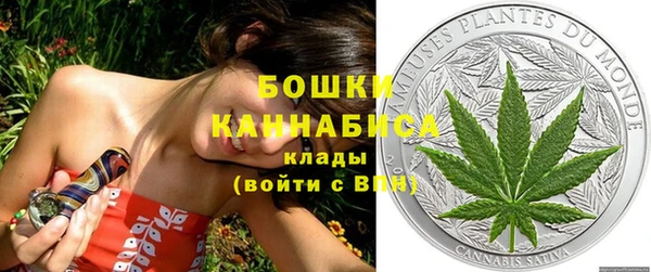mdpv Вяземский