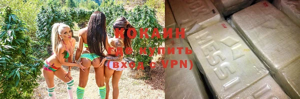 mdpv Вяземский