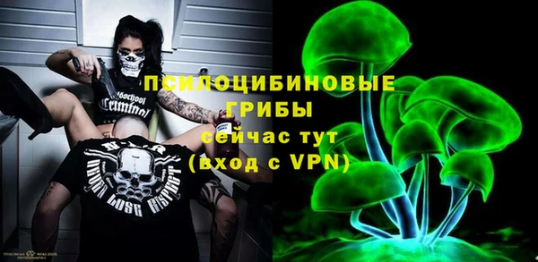 mdpv Вяземский