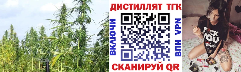 Купить где  Тихвин  Дистиллят ТГК жижа 