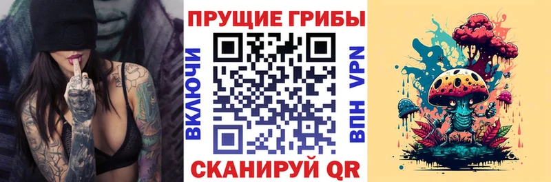 Галлюциногенные грибы Psilocybine cubensis  Купить  Тихвин 